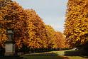 2009-10-26, Herbstfärbung (6)